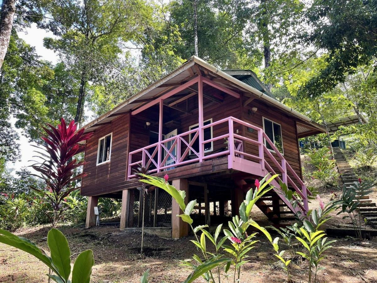 Akwaba Lodge The Gap Dış mekan fotoğraf