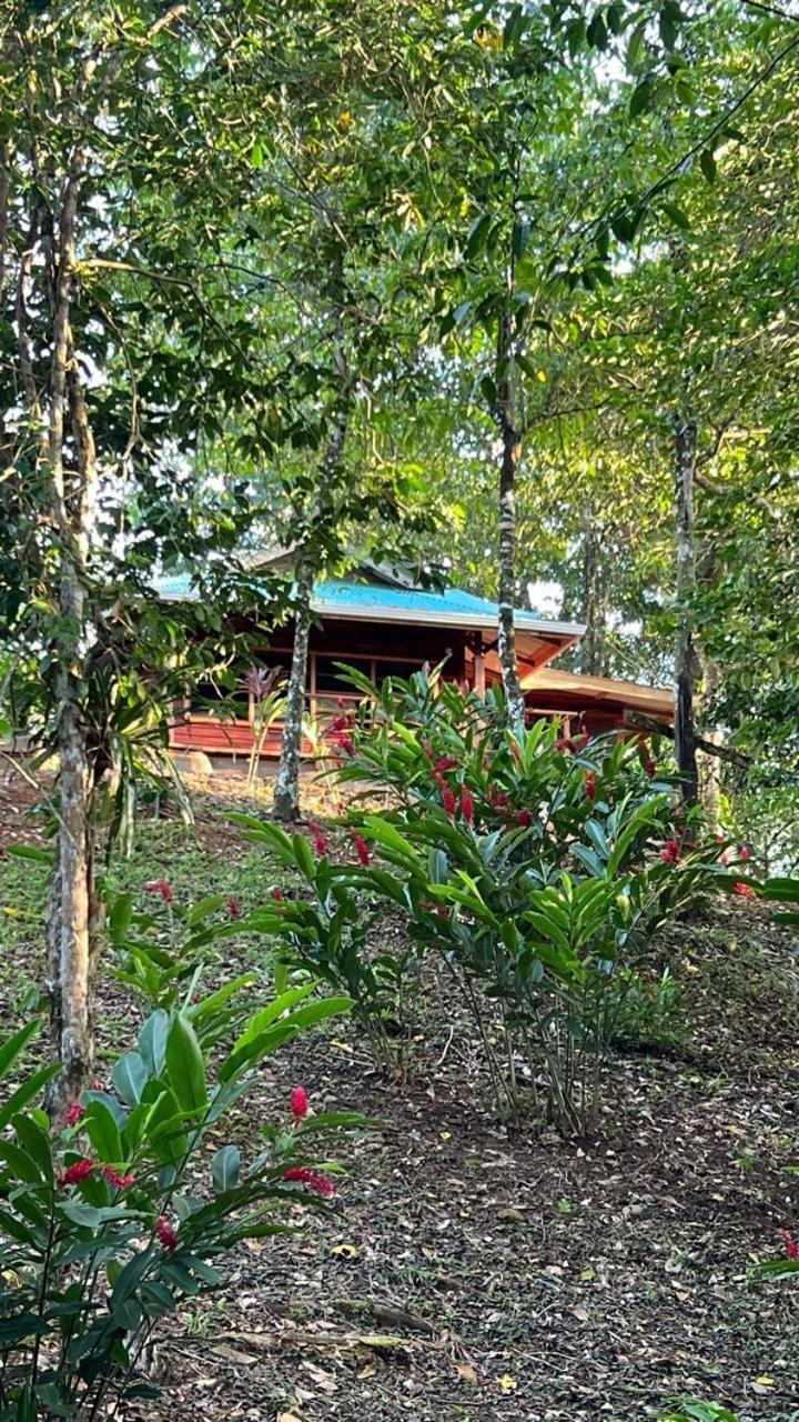Akwaba Lodge The Gap Oda fotoğraf